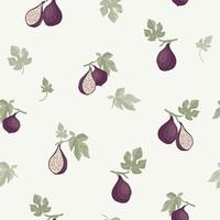 Seamless Pattern with Figs vector