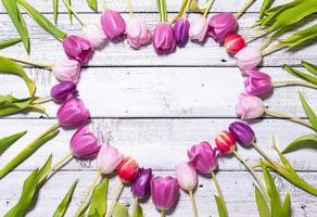 corazón de tulipanes frescos foto
