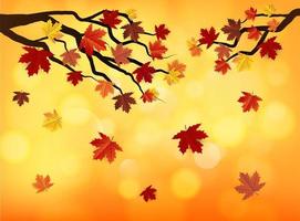 Maple Leaf Background Free Vector Art 1 019 Free Downloads Maple Leaf Background Free Vector Art 1 019 Free Downloads