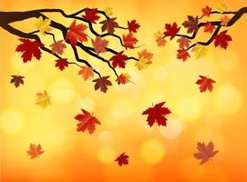 Maple Leaf Autumn Bokeh Background vector