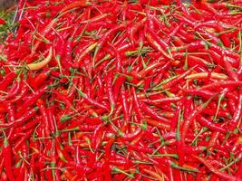 Fresh chilli in a supermarket photo