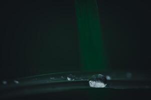 Water drops on a leaf photo