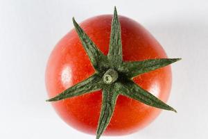 Tomato on white background photo