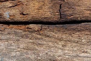 Old wood pattern texture photo