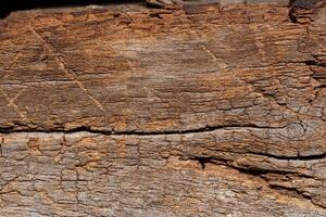 Old wood pattern texture photo