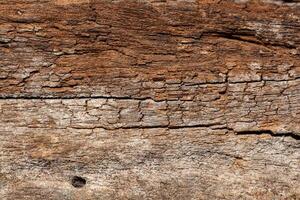 Old wood pattern texture photo