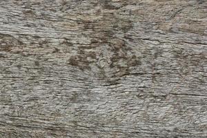 textura de madera vieja foto