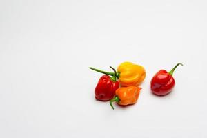 Colorful peppers on white background photo