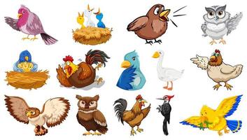 Set of different birds cartoon style  vector