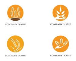 Wheat circle symbol set vector