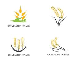 Wheat symbol set vector