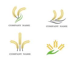 Wheat symbol set vector