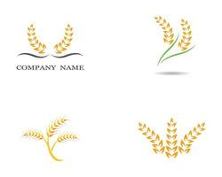 Wheat symbol set vector