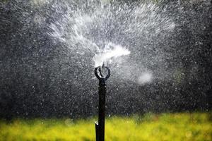 silhouette of water sprinkler photo