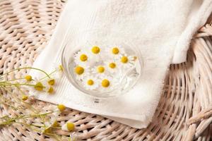 camomiles in bowl of water photo