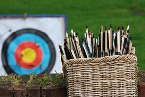 basket of arrows with target photo