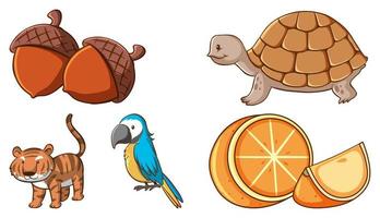 Set of different animals and food vector