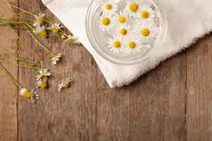 camomiles in bowl of water photo