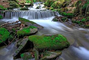 green stones in water of mountain stream photo