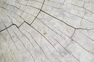 textura de madera del grunge foto