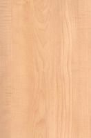 Maple Wood Texture photo
