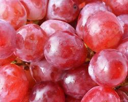 Uva roja con gotas de agua, primer plano de fondo foto