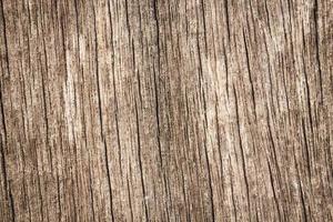 Grunge wood texture