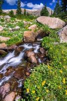 Boulder Creek Surrounded by Summer Wildflowers