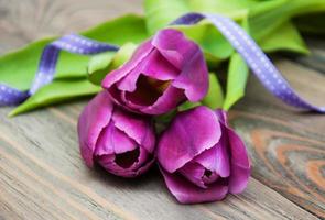 tulipanes con cinta