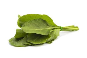 Bundle of fresh spinach on white background photo