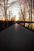 Trees near road photo