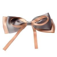 butterfly knot bowknot photo