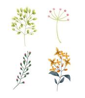 Branches and flowers set vector