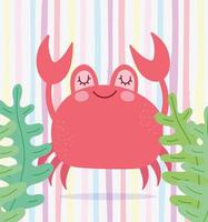 Crab algae marine life scene vector