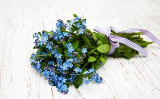 Forget-me-nots flowers photo