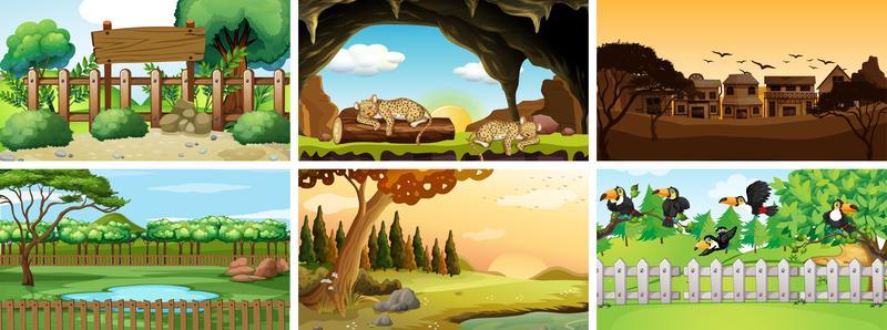 Six scenes with animals in the park