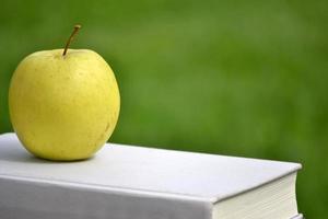 Apple and book on wood photo