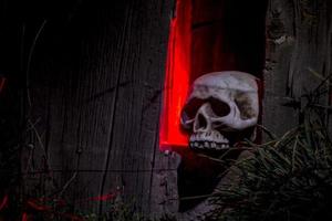 Halloween Skulls and Decorations photo