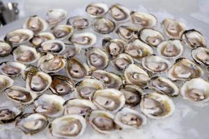 fresh West Coast oysters photo