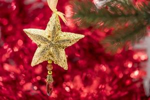 Christmas star ornament hang on tree branch