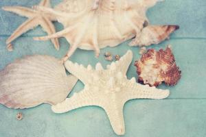 horario de verano con estrella de pescado y conchas marinas. foto