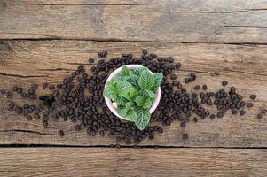 Plant pot and coffee beans on wooden table photo