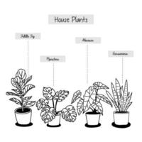 Hand drawn tropical house plants in pots vector