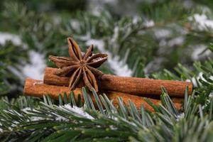 Christmas spices, cinnamon and star anise