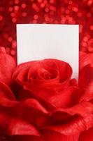 Red rose with blank note
