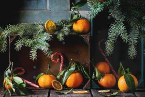 Tangerines in Christmas decor photo