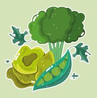 vegetales alimenticios. brócoli, lechuga y guisantes vector