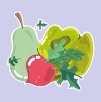 Food vegetable menu. Pear, radish, and lettuce vector