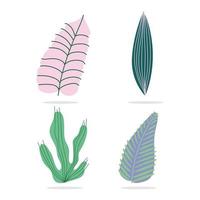 Set of tropical leaves and foliage vector