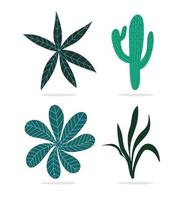 Set of exotic plants vector